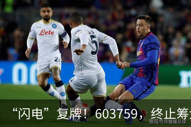 “闪电”复牌！603759，终止筹划重大事项